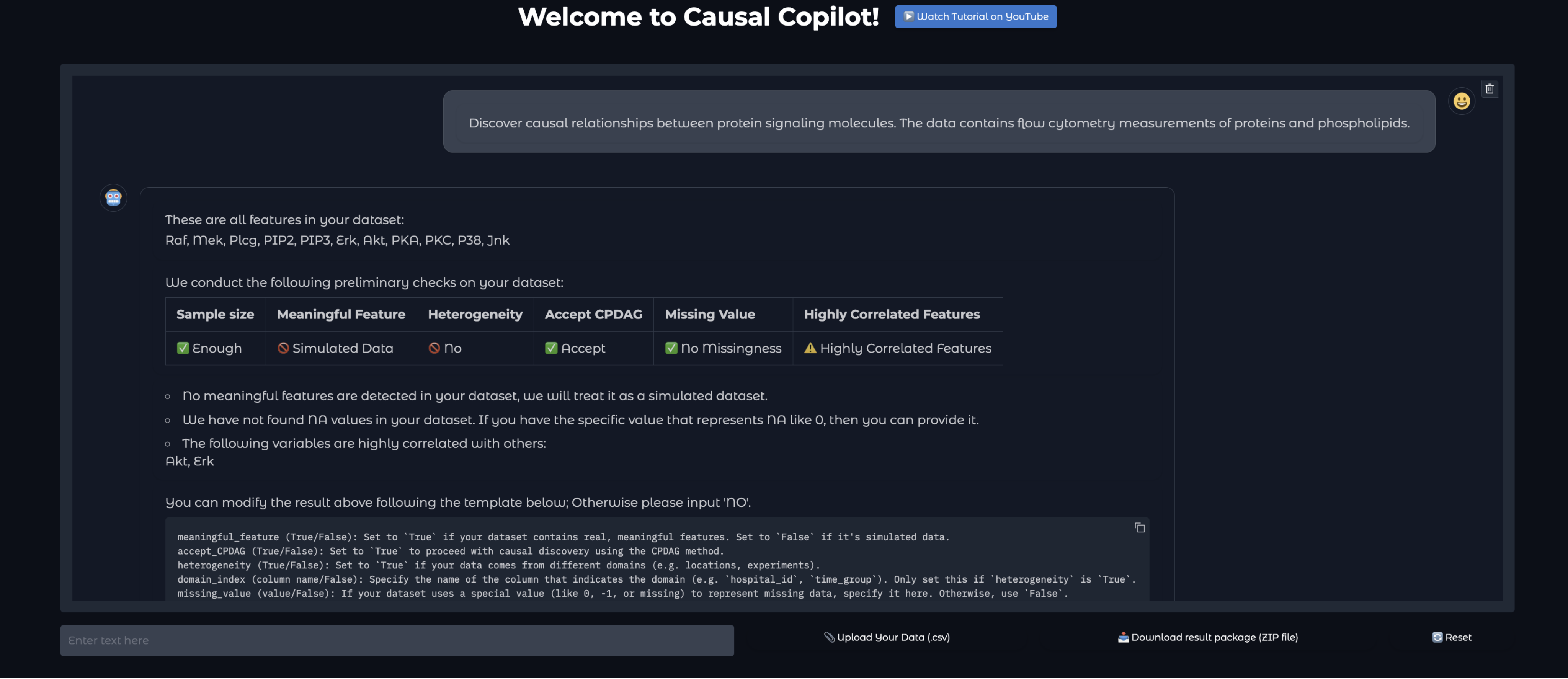 Causal Copilot interactive interface for dataset diagnostics and causal analysis setup.